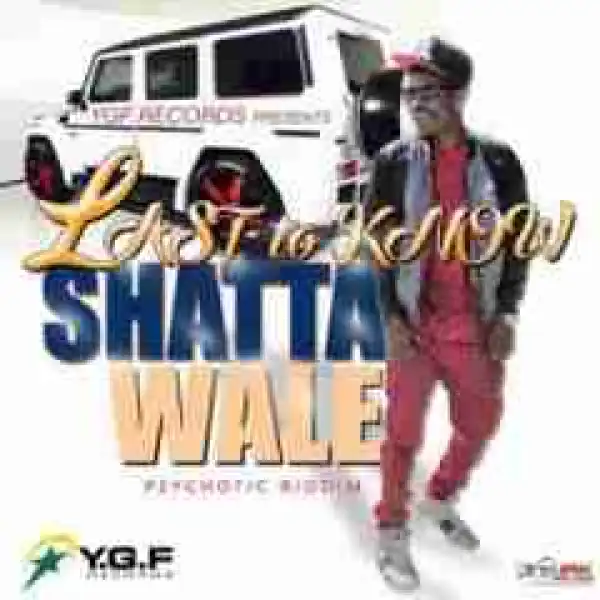 Shatta Wale - Fool is the last to know